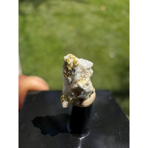 Gold on Quartz - Natural California Gold Specimen in Perky Display Box - #13 - Picture 5 of 9